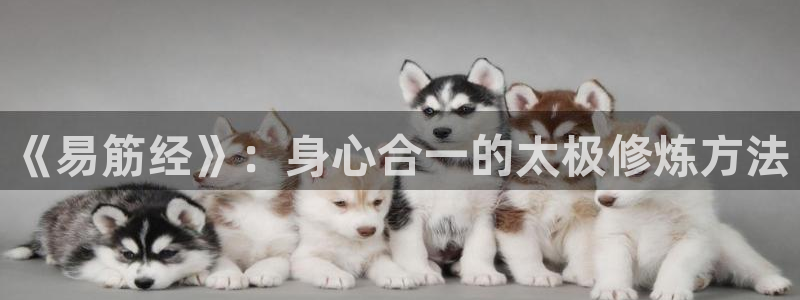 意昂4官方网站