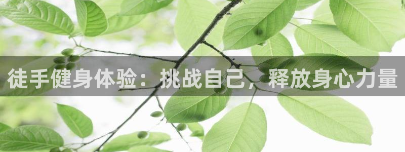 意昂4官网