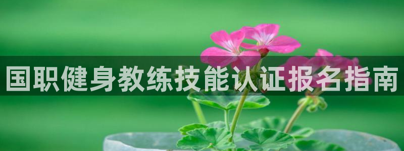 意昂4平台