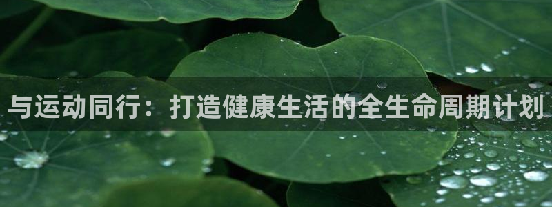 意昂4平台