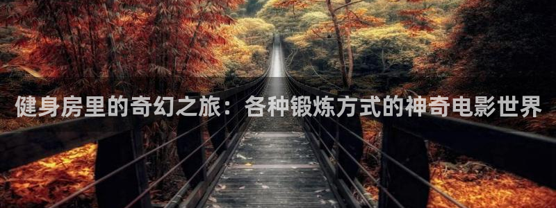 意昂4官方平台