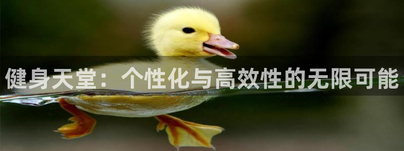 意昂4注册