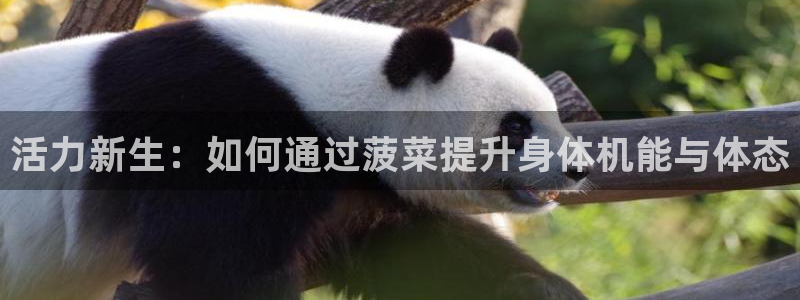 意昂4官方平台
