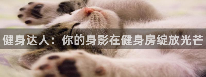 意昂4登录