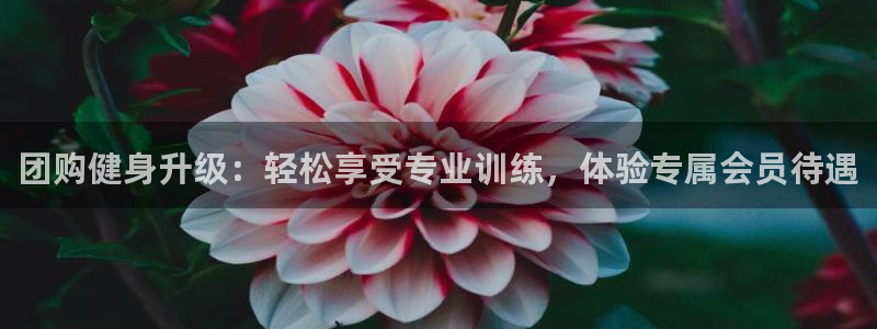 意昂4注册
